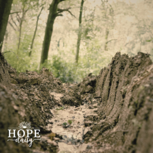 Hope Daisy Grief, pain, suffering